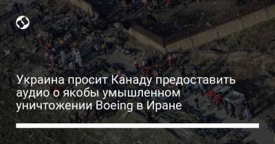 Украина просит Канаду предоставить аудио о якобы умышленном уничтожении Boeing в Иране