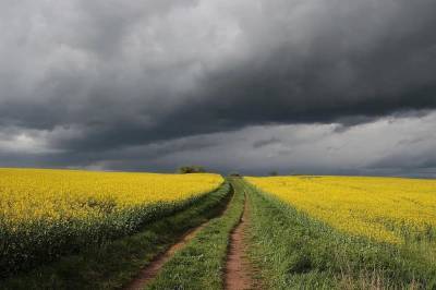 Вазир Мартазинов - Агро - Украине прогнозируют аномальную весну: чего ждать фермерам - 24tv.ua