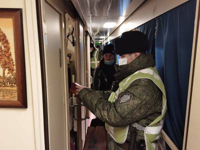 Смоленские пограничники за сутки задержали более 70 нелегалов