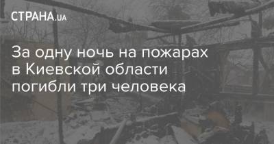 За одну ночь на пожарах в Киевской области погибли три человека