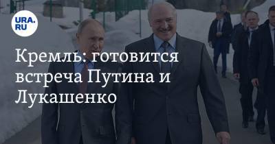 Кремль: готовится встреча Путина и Лукашенко