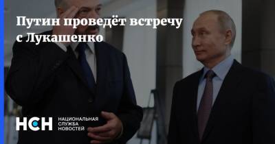 Путин проведёт встречу с Лукашенко