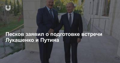 Песков заявил о подготовке встречи Лукашенко и Путина