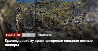 Краснодарскому краю предрекли сильные лесные пожары