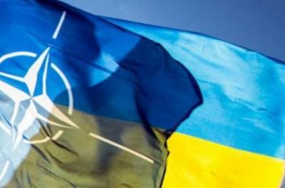 Зеленскому ответили, что приблизит членство Украины в НАТО