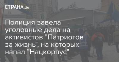 Полиция завела уголовные дела на активистов "Патриотов за жизнь", на которых напал "Нацкорпус"