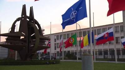 НАТО понимает последствия: в Крыму прокомментировали предложение Киева