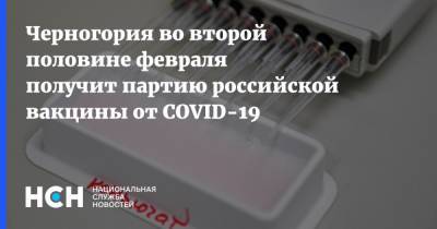 Черногория во второй половине февраля получит партию российской вакцины от COVID-19