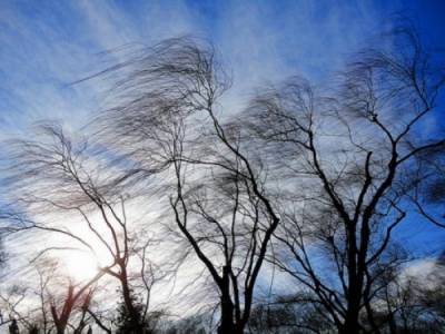 Прогноз погоды на 11 февраля: в Одессе – сильный южный ветер