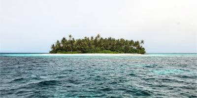 С необитаемого острова на Багамах спасли трех человек. Они 33 дня выживали за счет кокосов, раковин и крыс