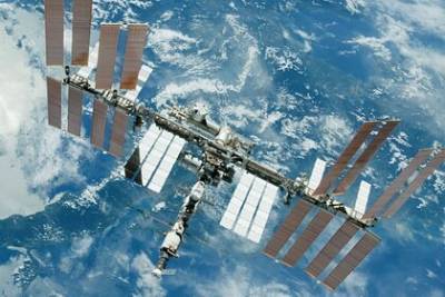 Космонавтам на МКС доставят чеснок и новогодние подарки