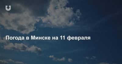 Погода в Минске на 11 февраля