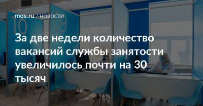 Евгений Стружак - За две недели количество вакансий службы занятости увеличилось почти на 30 тысяч - mos.ru - Москва