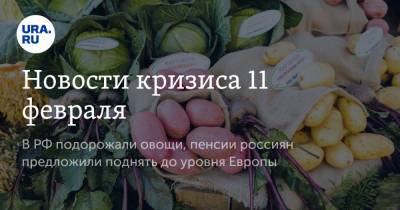 Новости кризиса 11 февраля. В РФ подорожали овощи, пенсии россиян предложили поднять до уровня Европы