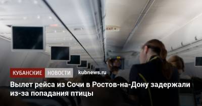 Вылет рейса из Сочи в Ростов-на-Дону задержали из-за попадания птицы
