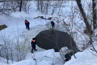 В Ярославле спасатели расчистили водоем от льда для уток