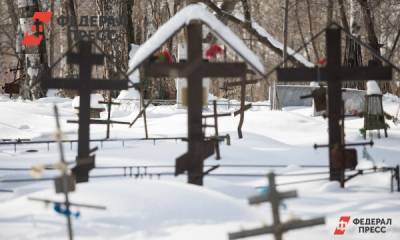 В Красноярске раскритиковали идею нового кладбища