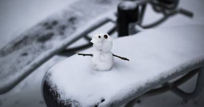 Прогноз погоды на 11 февраля: в Украине будет сильный снег, гололедица и порывистый ветер