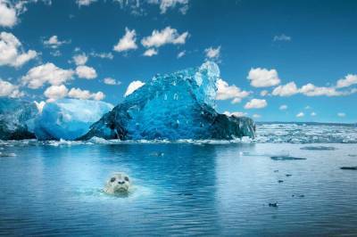 Ученые: Северный Ледовитый океан в древности был пресным