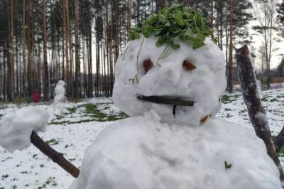 В Новосибирске мужчина избил подростков, которые сломали снеговика
