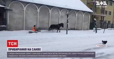 Конь вместо "гиперлупа": как чистят снег на Западной Украине