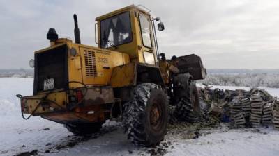 В Петербурге обнаружено и изъято более тонны "санкционных" груш из Польши