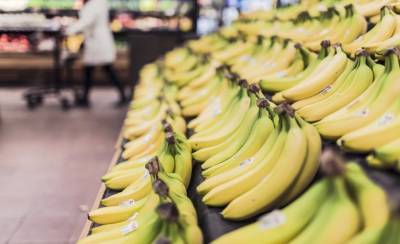 Проблем с бананами в российских магазинах нет
