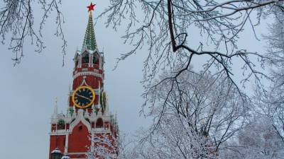 Снегопад, метель и сильный ветер ожидаются в Москве 12 февраля