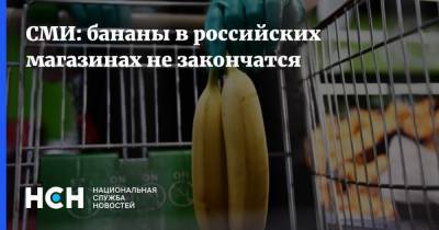 СМИ: бананы в российских магазинах не закончатся