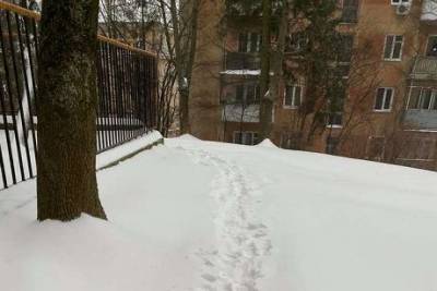 Во Львове из-за снега люди не могли выйти из домов (ФОТО)