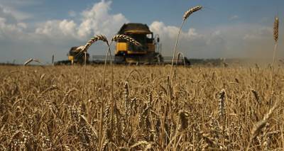 Приобрести сельхозтехнику в Армении станет проще: новое решение властей по лизингу