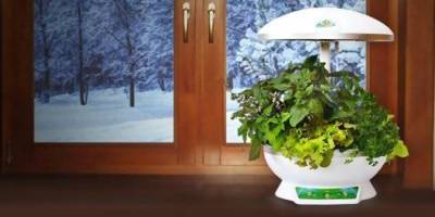 Гидропоника: домашняя теплица для круглогодичного выращивания овощей и зелени