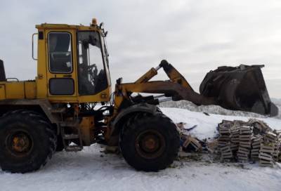 В Петербурге уничтожили более тонны санкционных польских груш