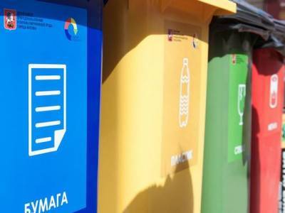 Вводить штрафы для тех, кто не сортирует мусор, в Москве не планируют