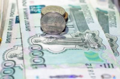В ГД внесли законопроект о минимальном гарантированном доходе должников