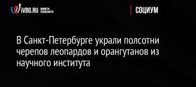 В Санкт-Петербурге украли полсотни черепов леопардов и орангутанов из научного института