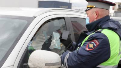 В России сотрудникам ДПС могут разрешить аннулировать документы на машину