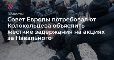 Совет Европы потребовал от Колокольцева объяснить жесткие задержания на акциях за Навального