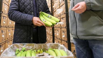 Ритейлеры заявили об отсутствии проблем с поставками бананов