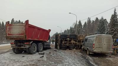 Два водителя грузовиков погибли в ДТП с пассажирской «Газелью» в Новгородской области