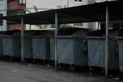 В селе под Липецком украли мусорные контейнеры - lipetskmedia.ru - район Липецкий