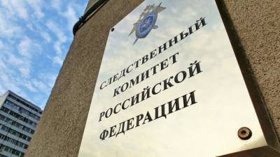 В Петербурге СК начал проверку сообщений о совращении школьницы учителем ОБЖ