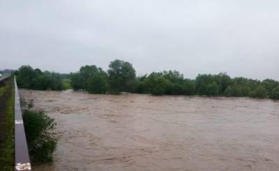 На Закарпатье зафиксировали паводок на 5 реках