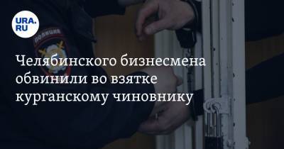 Челябинского бизнесмена обвинили во взятке курганскому чиновнику