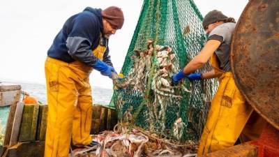 Квоты в обмен на инвестиции: Трутнев рассказал о путях развития рыбной отрасли
