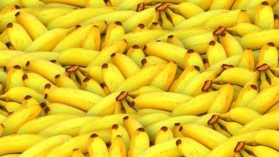 Неурожай бананов в Эквадоре может привести к их нехватке на российских прилавках nbsp