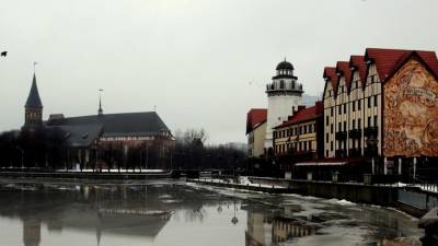 В Калининграде обезвредили 100-килограммовую мину времен Великой Отечественной войны - polit.info - Калининград