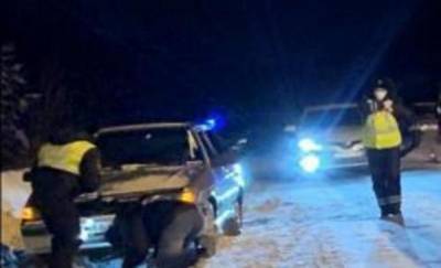 В Югре во время проверки автомобиля полицейские нашли щенка в моторном отсеке