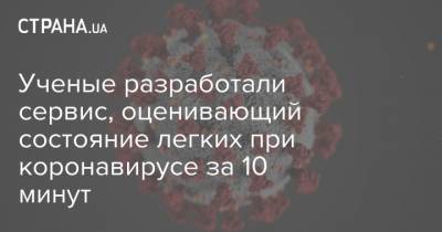 Ученые разработали сервис, оценивающий состояние легких при коронавирусе за 10 минут - strana.ua - Самара - Самарская обл.