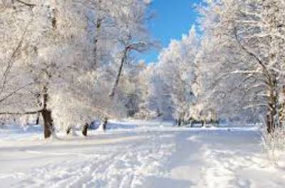 В Україну йде суттєве похолодання: прогноз погоди від Наталки Діденко